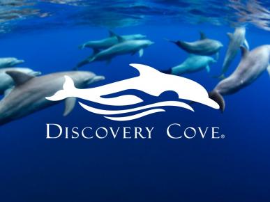 Discovery Cove Package